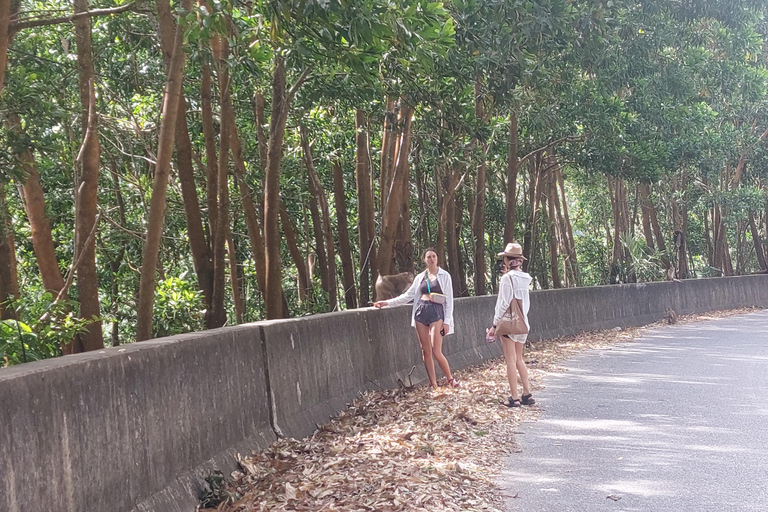 Kampot: Bokor Mountain Tour with locals Bokor Mountain Tour with an Experienced Guide