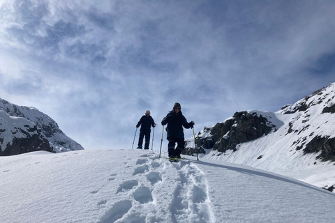 Guided Snowshoeing Adventure from Seward, Alaska 6-Hour Tour