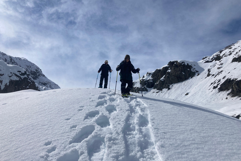 Guided Snowshoeing Adventure from Seward, Alaska 6-Hour Tour