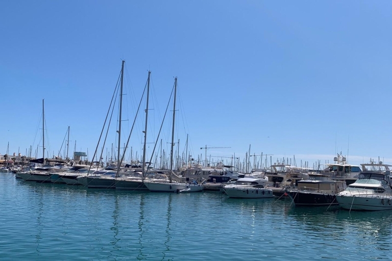Z Albir i Benidorm: Jednodniowa wycieczka autokarem do AlicanteZ Benidorm: Hotel Poseidon Playa