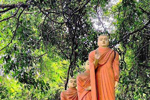 Galle och Bentota Dagsutflykt från Colombo