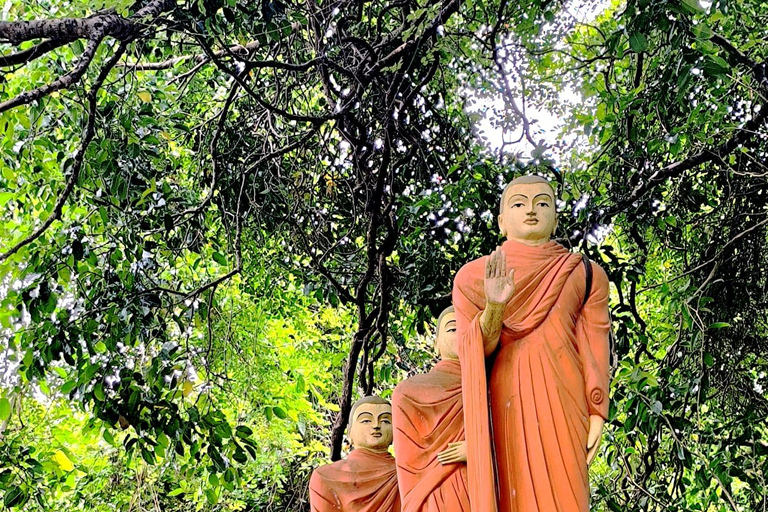 Excursion d&#039;une journée à Galle et Bentota depuis Colombo