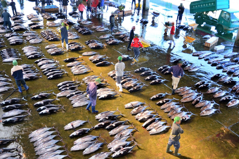 Wakayama: Learn & Taste Japan Tuna Culture in Nachikatsuura