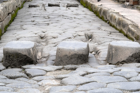 Naples: Pompeii and Herculaneum Guided Tour