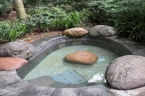 Sichuan: Dujiangyan Qingcheng Road Hot Spring Entry Ticket