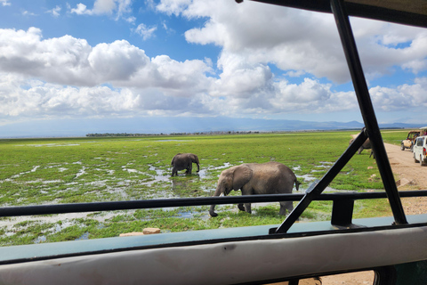 Nairobi: Amboseli National Park Flight and Safari Tour