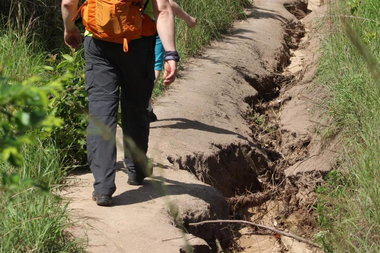 Diani/ Mombasa: Private Shimba Hills Day Safari