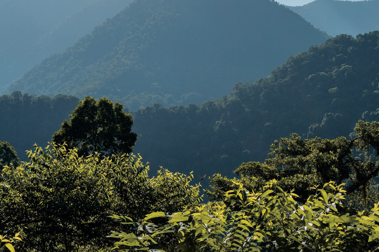 Zaginione Miasto 4 dni