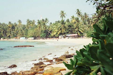 米里萨或卡尔皮蒂亚冲浪营之旅（适合初学者和专家）