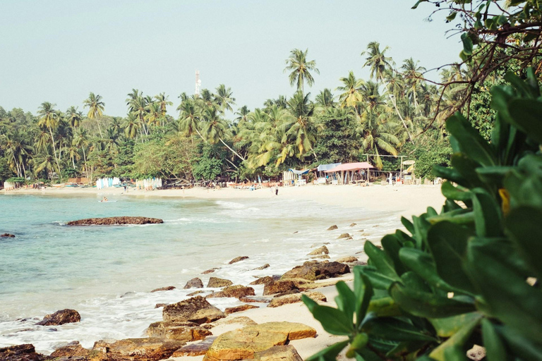 米里萨或卡尔皮蒂亚冲浪营之旅（适合初学者和专家）