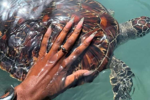 Zanzibar: Mnemba Snorkeling & Sea Turtle Swim Private Tour without hotel transfer
