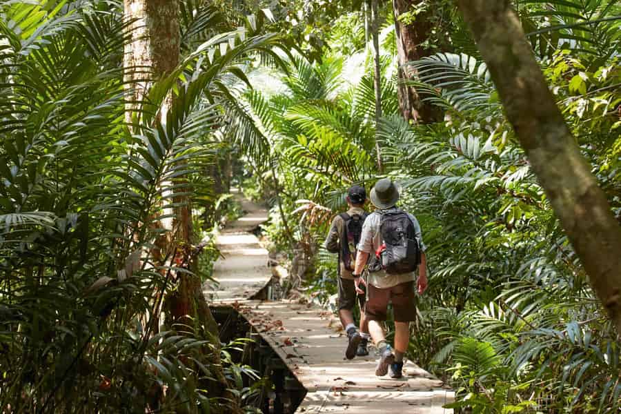 Kuala Lumpur: Cameron Highlands & Teeplantagen. Foto: GetYourGuide