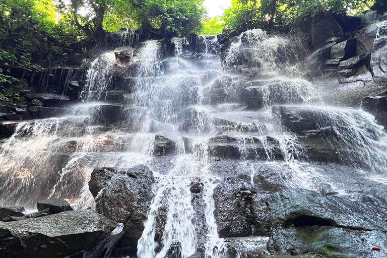 Ubud Monkey Forest, Rice Terrace, and Swing Private Tour Bali: Monkey Forest, Rice Terrace, and Swing Private Tour