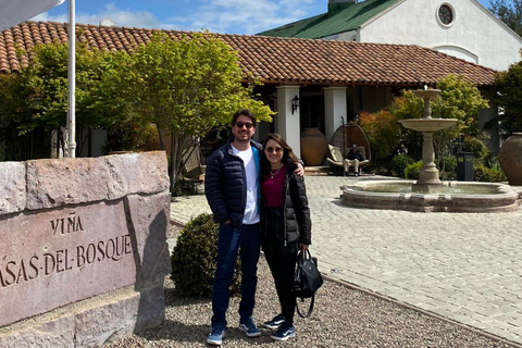 Casas del Bosque: Private Tour with Food Tasting/Lunch + Viña del Mar/Valparaiso