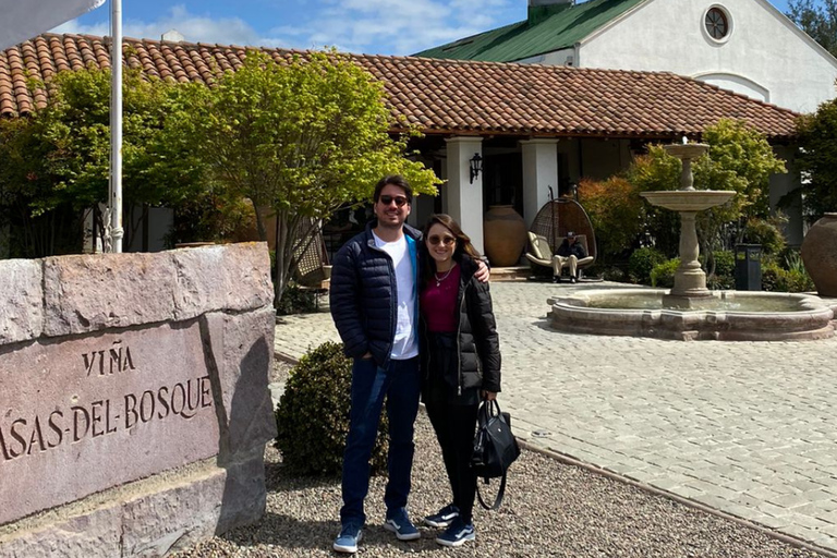 Casas del Bosque: Private Tour with Food Tasting/Lunch + Viña del Mar/Valparaiso
