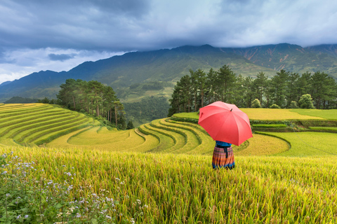 Yogyakarta: Subida a Borobudur Senderismo por los arrozales de Selogriyo