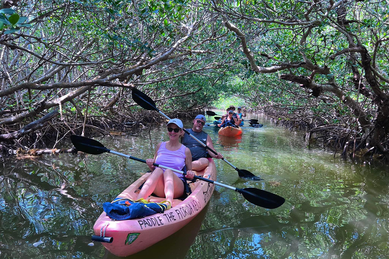 Tavernier, FL: Mangrove and Manatees Guided Kayak Eco Tour