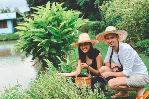 Expérience de cuisine thaïlandaise biologique à Chiang Mai