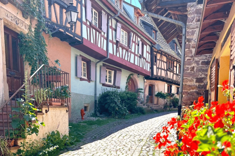Eguisheim: step into the legendary circle. Walking tour with a guide