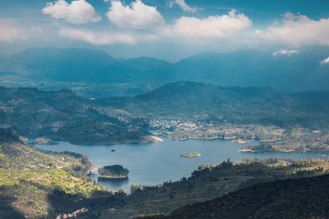 From Kandy: Sigiriya & Dambulla Day Tour with Safari