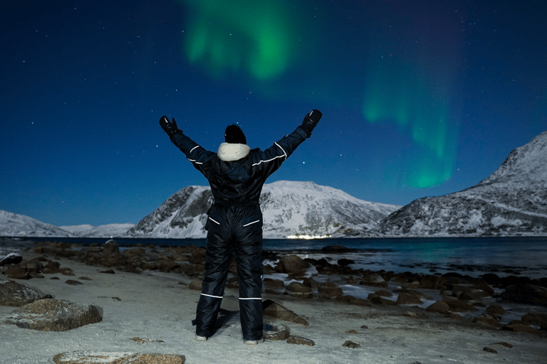 From Tromsø: Aurora Bus Tour with Snacks, Photos, and Drinks 4-Hour Tour