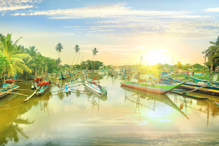 Negombo City Highlight & Local Food Tasting All Include Tour