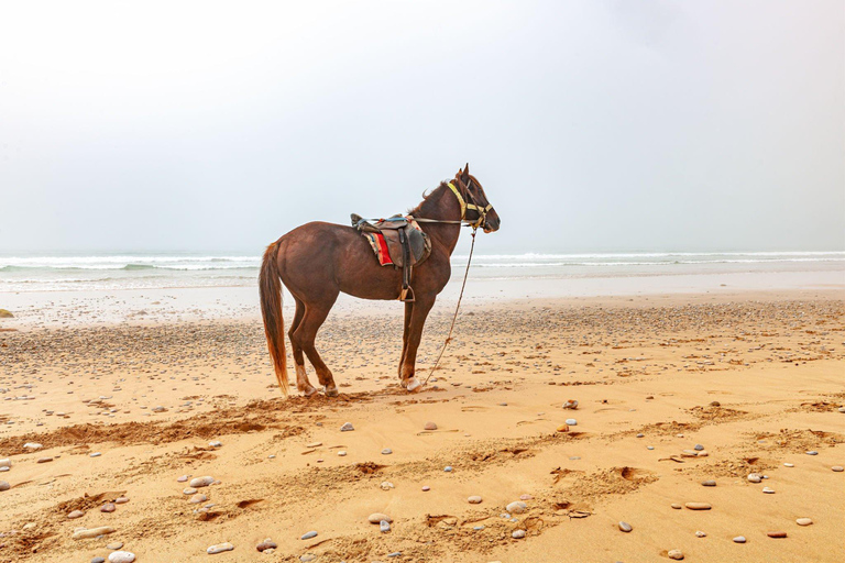 Agadir: Excursión a caballo por la playa y el rancho