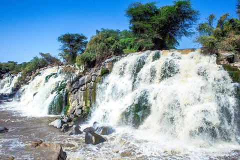 Bale Mountains: 3-tägige geführte Wanderung mit Wildtieren und Camping