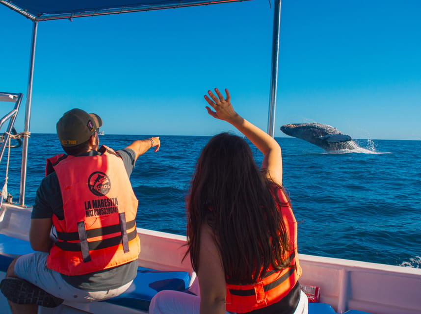 A humpback whale lifting its tail above blue water beside a small white sightseeing boat