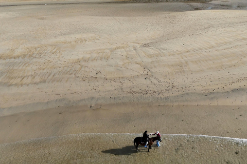 San Diego: 3-Hour Guided Beach Horseback Ride