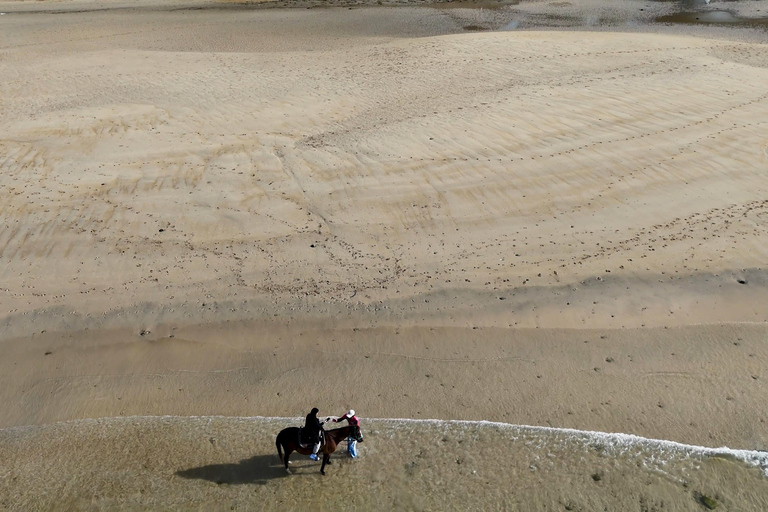 San Diego: 3-Hour Guided Beach Horseback Ride