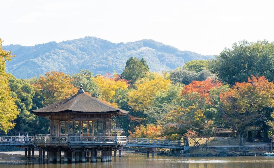 Nara Private Tour Mit Einem Ortskundigen Guide GetYourGuide