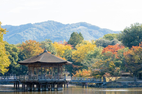 Nara : Visite privée de la ville avec un guide régionalVisite privée de Nara avec un guide de la région