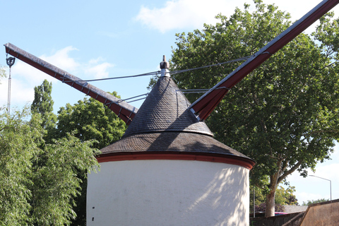 特里尔：城市之旅 2，从皇帝主题到罗马桥特里尔：城市漫步之旅 2，从皇帝主题到罗马桥