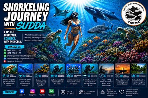 Sri Lanka: Whale Watching and Snorkeling Boat Tour