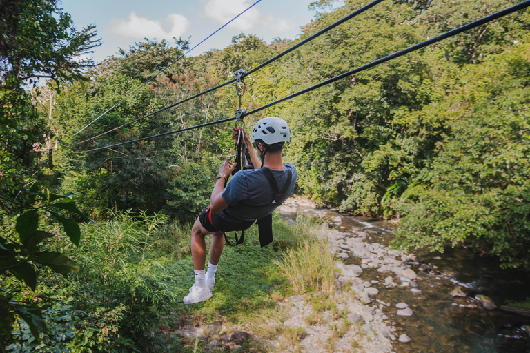 Puerto Rico: El Yunque Rainforest Zipline Adventure