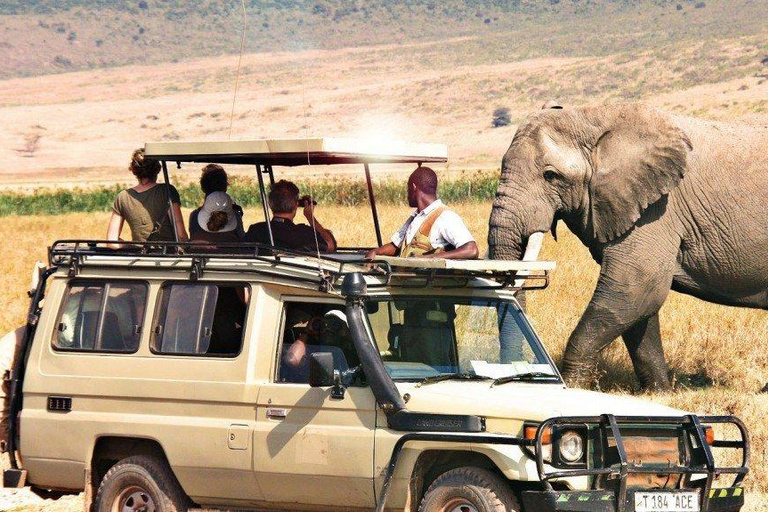 Safari de luxe de 2 jours depuis et vers Dar es Salaam avec vol