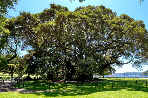 Sydney Signature Full Day Tour | For 1 - 11 People