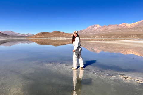 Salinas and Aguada Blanca Nature Reserve From Arequipa: Salinas and Aguada Blanca, Transportation and Lunch Included