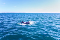 Benagil, Benagil Caves et Secret Spots Guided Kayaking Tour - Housity