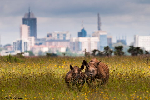 Halve dag Nairobi Nationaal park