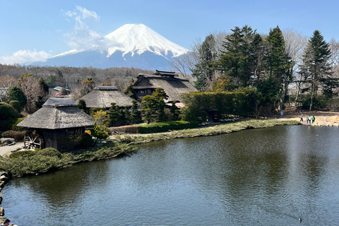 Från Tokyo / Yokohama: Privat dagsutflykt till Fuji-berget och Hakone