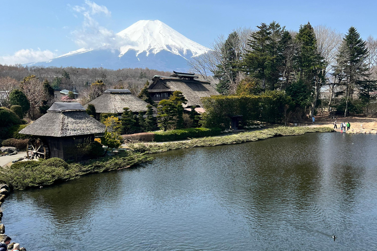 Depuis Tokyo/Yokohama : Excursion privée d'une journée au Mont Fuji et à Hakone