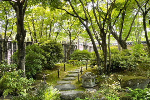 O melhor do Castelo de Himeji: Tour guiado de 3 horas com guia licenciado