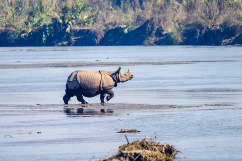 Chitwan: Jungle Safari with Wildlife & Cultural tour 3-Days