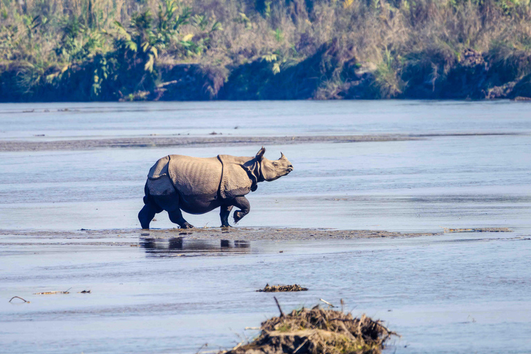 Chitwan: Jungle Safari with Wildlife & Cultural tour 3-Days