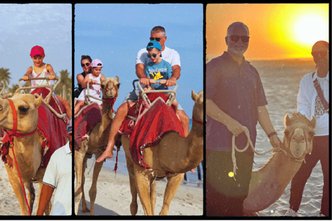 Salalah: Paseo en camello por la playa con recogida en el hotel30 minutos de paseo en camello por la playa