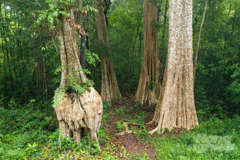 2Days tour Dalat to Cat Tien national park, drop off Saigon