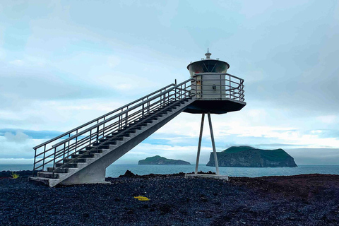 Från Reykjavik: Lunnefågel- och vulkantur på Västmannaöarna