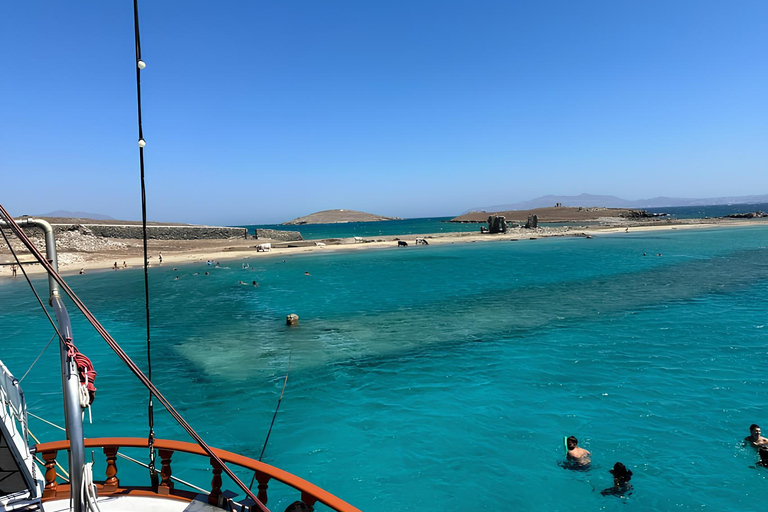 From Mykonos: Delos & Rhenia Islands Half-Day Trip by Boat
